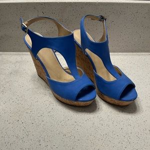 Royal Blue Cato Wedges